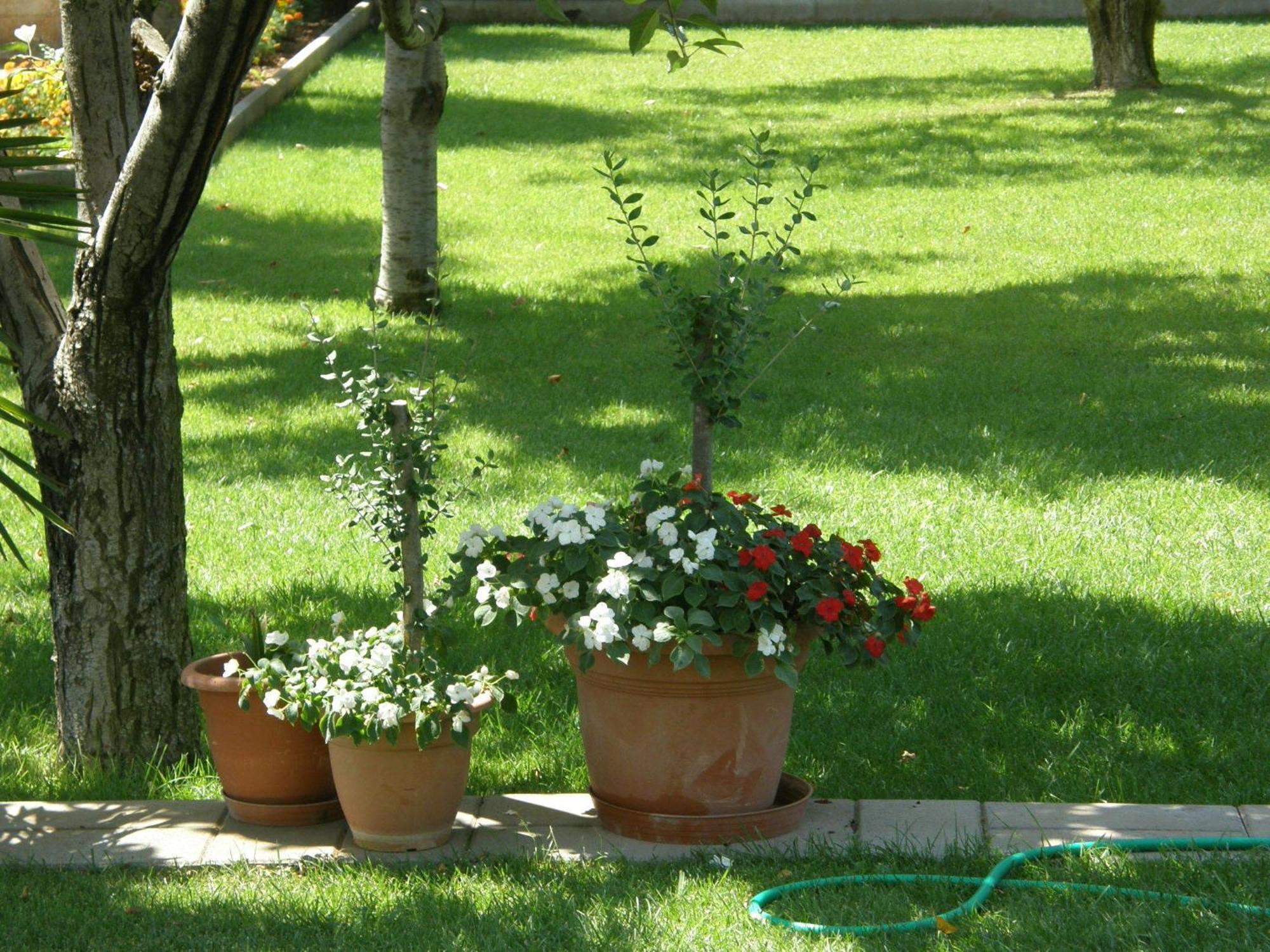Villa Slavica 1 Vodice Exterior photo