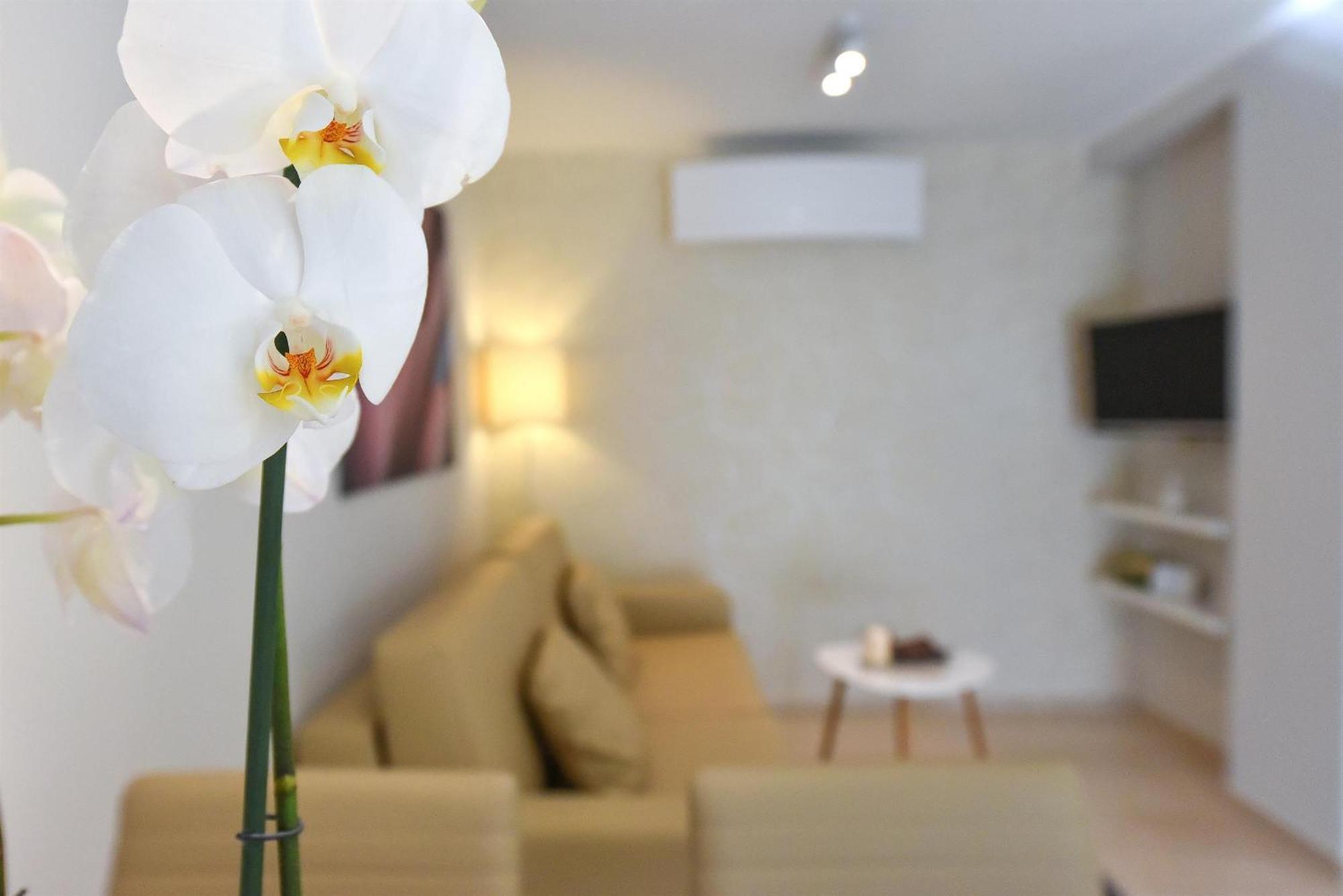 Villa Slavica 1 Vodice Room photo
